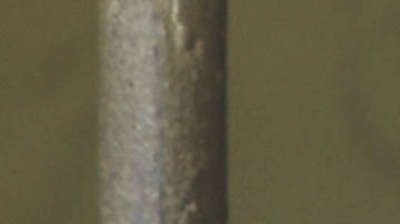 La exalumna de negocios y mercadotecnia dio muestras de resentimiento racial