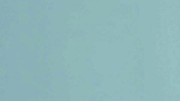 Filtran letra de Shakira y Karol G | Mezcalent.