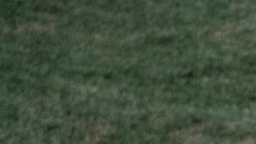 Venezuela ganó 20 carreras a 3.