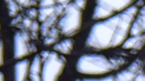 Zelenski: Rusia sufre bajas “gigantescas” en el este de Ucrania