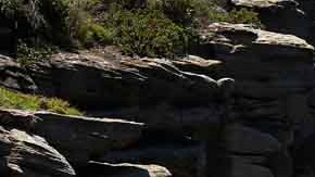 Por cielo, mar y tierra, buscaron durante horas al residente de Indiana