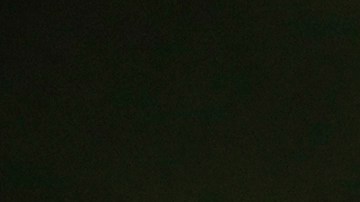 Afición de las Águilas del América.