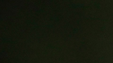 Afición de las Águilas del América.