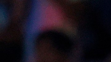 Aficionados del Tri.