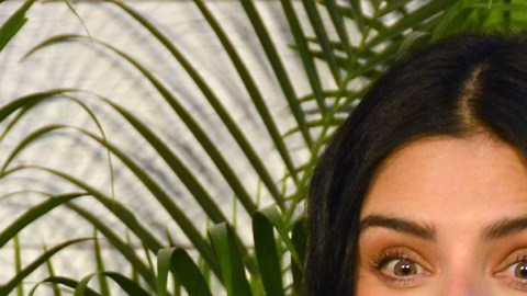 Aislinn Derbez le coquetea a Ashton Kutcher - Mezcalent y Getty Images