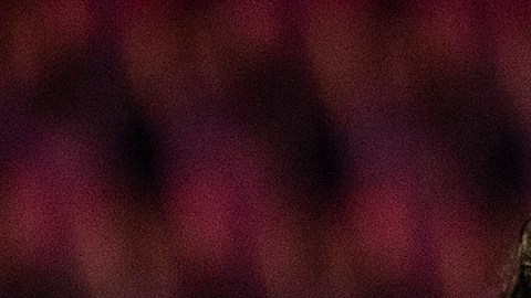 André-Pierre Gignac seguirá dos años más en Tigres.