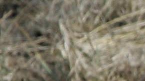 Avión de Care Flight que brinda servicios médicos se estrelló en Nevada y dejó 5 pasajeros muertos