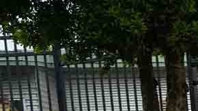 Para quienes se infectan la mejor recomendación de los médicos es beber muchos líquidos y evitar la deshidratación