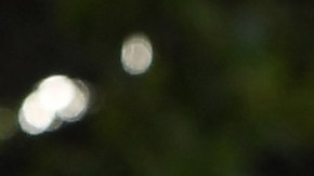 Calentamiento global hace a los hongos más peligrosos para los humanos como en “The Last of Us”