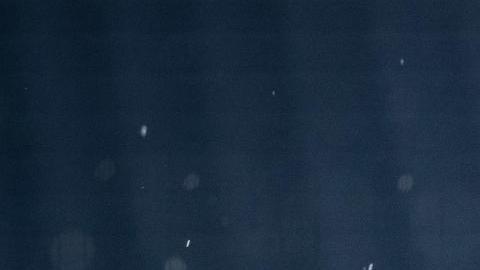 Cañeros de los Mochis en la Serie del Caribe.