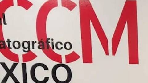 Carolina Frías López crea Cookie's Love, un negocio de minipostres. (Cortesía)