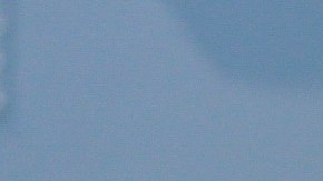 Cinturón de la WWE.