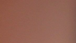 Crean un reloj inteligente vivo que es alimentado por moho y está inspirado en los Tamagochi