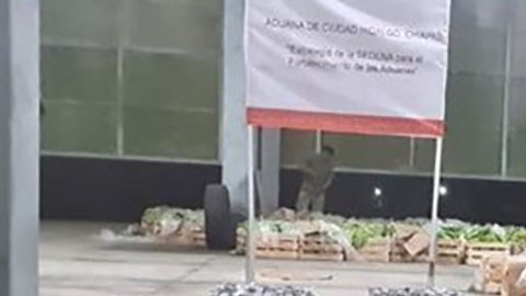 Decomiso de cocaína