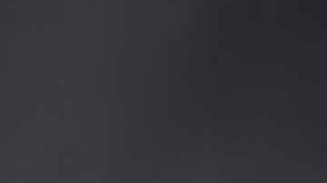 Cada año mueren centenares delfines por la voracidad de pescadores sin escrúpulos