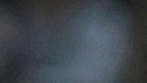 Diego Cocca entrenador de Tigres.