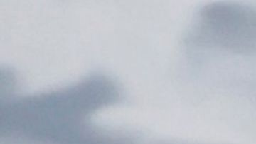 Daniella Chávez asiste mientras Playboy celebra el lanzamiento de BIGBUNNY.