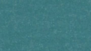 Dani Alves y Joana Sanz asisten al Premio Earthshot 2021.