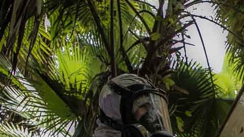 El Ejército Mexicano continúa mermando las operaciones de los cárteles de la droga
