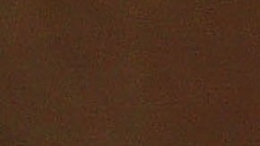 Estados Unidos exige a México los fundamentos científicos en los que sustenta su veto al maíz transgénico