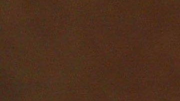 Estados Unidos exige a México los fundamentos científicos en los que sustenta su veto al maíz transgénico