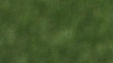 Fallece de un infarto Matt Pobereyko, lanzador que representó a México en la Serie del Caribe.