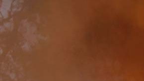 Las personas sin hogar se están volviendo un problema para las autoridades de Portland