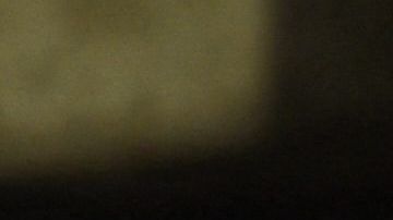 Fanáticos mexicanos en la Serie del Caribe.