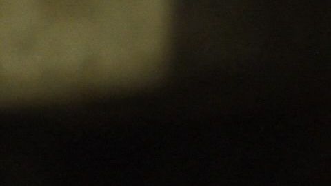 Fanáticos mexicanos en la Serie del Caribe.