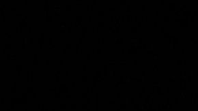 Floyd Mayweather Jr., leyenda del boxeo.