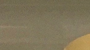 Fórmulas infantiles contaminados con bacteria Cronobacter sakazakii