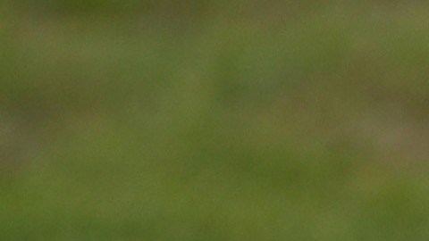 Foto referencial portería de fútbol.