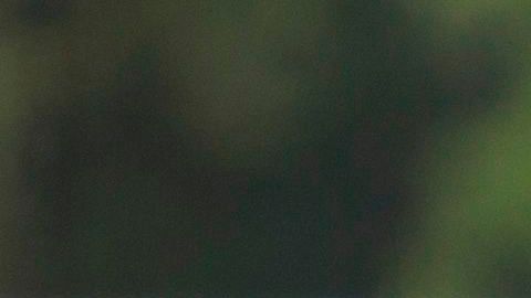 Fotógrafo herido en Florida narró la emboscada donde murió el reportero Dylan Lyons