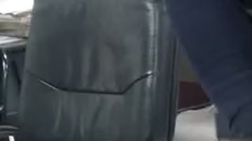 Gato egipcio con tatuajes