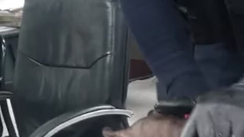 Gato egipcio con tatuajes
