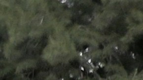 Gerard Piqué, ex de Shakira y ex jugador del FC Barcelona, caminando con su novia Clara Chía Martín por las calles de Barcelona.