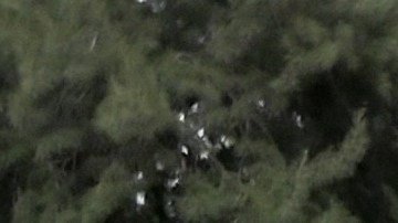 Gerard Piqué, ex de Shakira y ex jugador del FC Barcelona, caminando con su novia Clara Chía Martín por las calles de Barcelona.