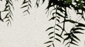 BELL, CA - JULY 26: Police officers from the neighboring City of Whittier responding on a mutual aid call to City of Bell look at crowds lined up to enter the community center calling for the ouster of city officials during a council meeting on July 26, 2010 in Bell, California. The council members have voted to cut their salaries in response to public outcry at city officials' high salaries. (Photo by Kevork Djansezian/Getty Images)