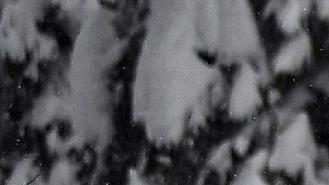 Mueren 2 esquiadores tras quedar atrapados en avalancha en Colorado