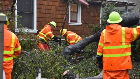 City workers remove a giant oak tree that uprooted and fell on top of a house due to heavy rain, January 17, 2019 in Burbank, California. - Heavy rain and danger of flooding and mudslides is continuing in Los Angeles and across Southern California as storms wallops the region. (Photo by Robyn Beck / AFP) (Photo credit should read ROBYN BECK/AFP via Getty Images)