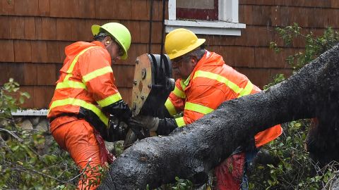 City workers remove a giant oak tree that uprooted and fell on top of a house due to heavy rain, January 17, 2019 in Burbank, California. - Heavy rain and danger of flooding and mudslides is continuing in Los Angeles and across Southern California as storms wallops the region. (Photo by Robyn Beck / AFP) (Photo credit should read ROBYN BECK/AFP via Getty Images)