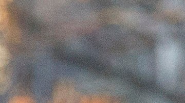 Mariel Colón y Emma Coronel