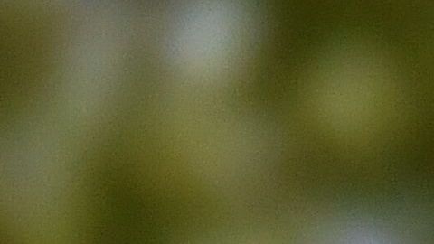No es la primera vez que la cantautora mexicana se lleva el prestigioso galardón por su trabajo,