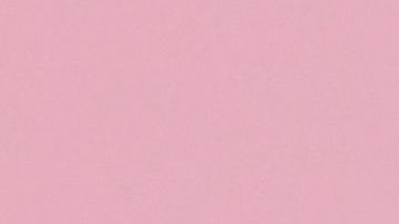 Mary-Kate y Ashley Olsen