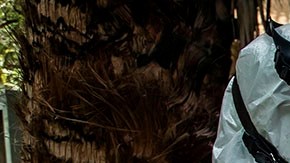 Laboratorio de drogas