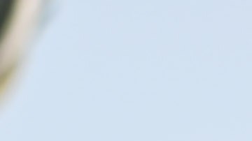 Demandan a guardia escolar en Illinois tras ser grabado cuando arrodilló en el cuello de una niña de 12 años