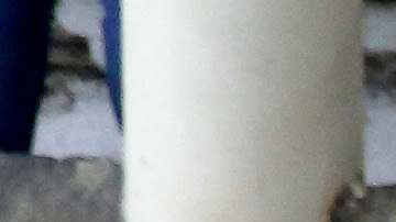 Jinetes mexicanos en un evento de charrería realizado en Guadalajara en 2019.