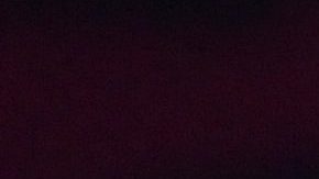 Alejandro Fernández habla del concierto que ofreció en León, Guanajuato.