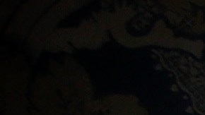 Arribó a esta edad en un punto alto de su carrera artística