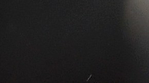 Christian Atsu durante un partido del Newcastle en 2020.